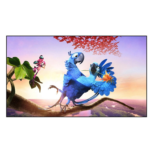 Hur förbättrar Fixed Frame Screen din tittarupplevelse?